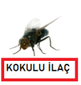 KOKULU KARASİNEK İLAÇLARI